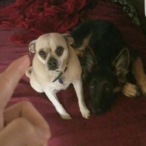 Meet your Posher, Alma